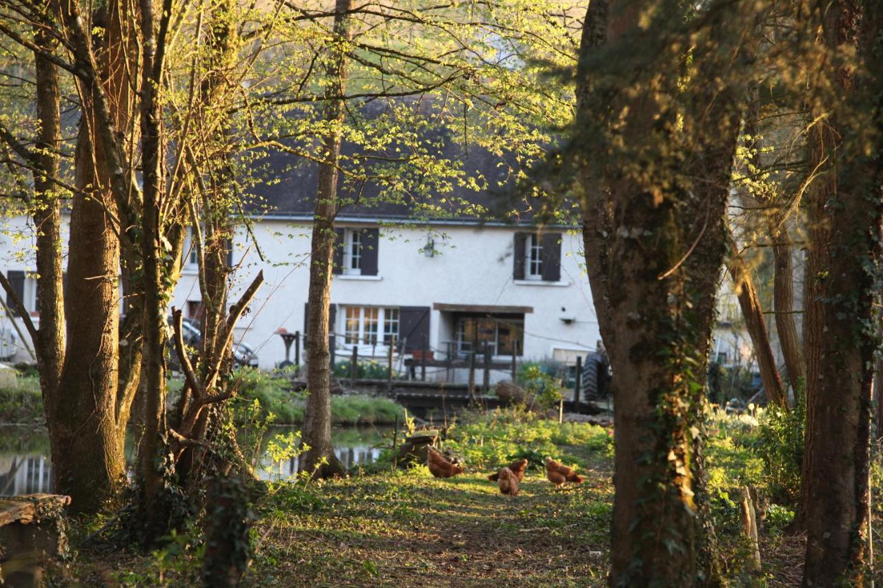 Fleurs De Brenne Gite Neuillé-le-Lierre Exterior foto
