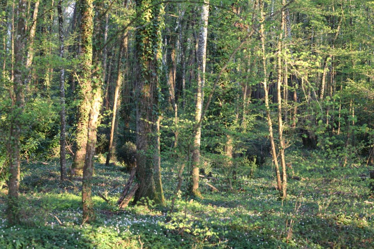 Fleurs De Brenne Gite Neuillé-le-Lierre Exterior foto